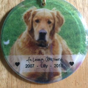 Meet your Posher, Jayme